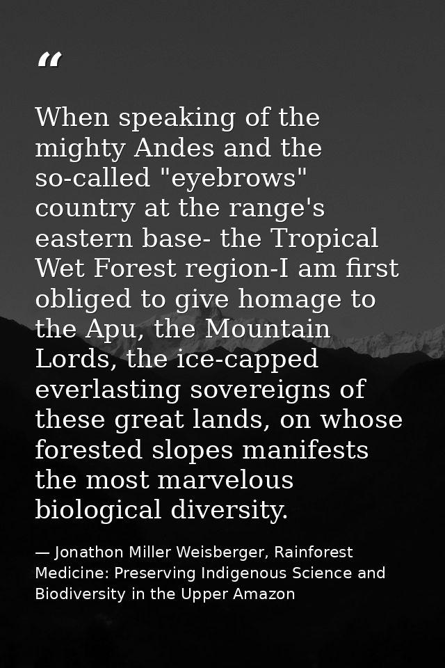 When speaking of the mighty Andes and the so-called "eyebrows" country at the range's eastern base- the Tropical Wet For — Jonathon Miller Weisberger, Rainforest Medicine: Preserving Indigenous Science and Biodiversity in the Upper Amazon