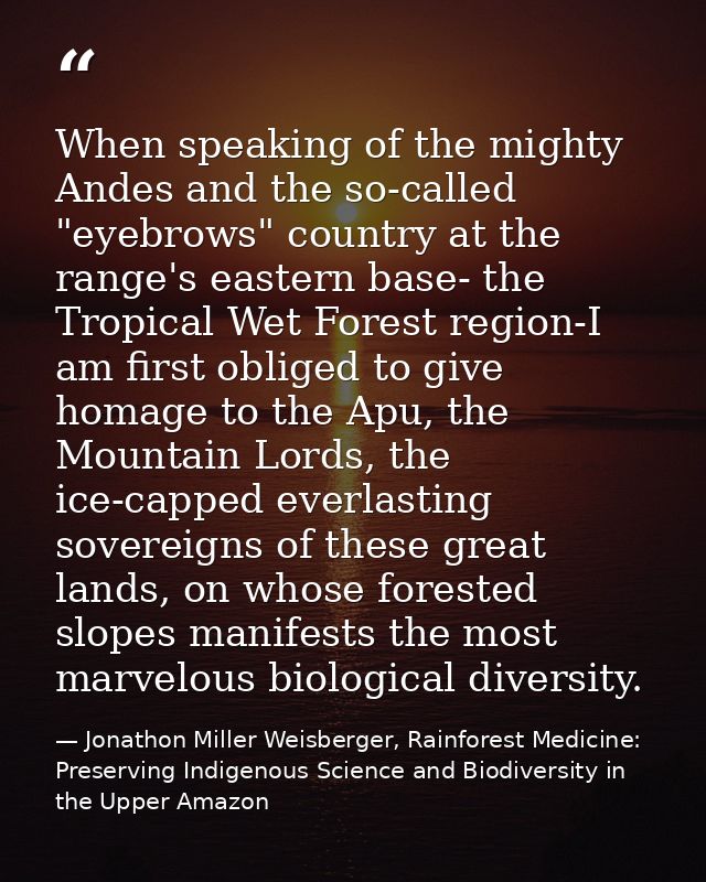 When speaking of the mighty Andes and the so-called "eyebrows" country at the range's eastern base- the Tropical Wet For — Jonathon Miller Weisberger, Rainforest Medicine: Preserving Indigenous Science and Biodiversity in the Upper Amazon