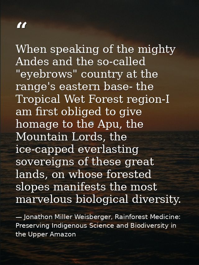When speaking of the mighty Andes and the so-called "eyebrows" country at the range's eastern base- the Tropical Wet For — Jonathon Miller Weisberger, Rainforest Medicine: Preserving Indigenous Science and Biodiversity in the Upper Amazon