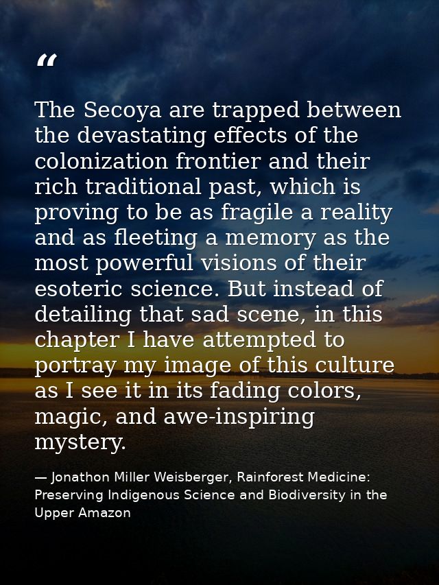 The Secoya are trapped between the devastating effects of the colonization frontier and their rich traditional past, whi — Jonathon Miller Weisberger, Rainforest Medicine: Preserving Indigenous Science and Biodiversity in the Upper Amazon