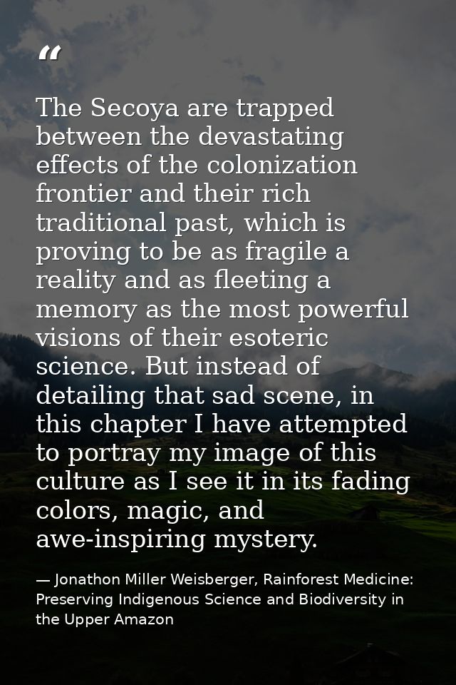The Secoya are trapped between the devastating effects of the colonization frontier and their rich traditional past, whi — Jonathon Miller Weisberger, Rainforest Medicine: Preserving Indigenous Science and Biodiversity in the Upper Amazon