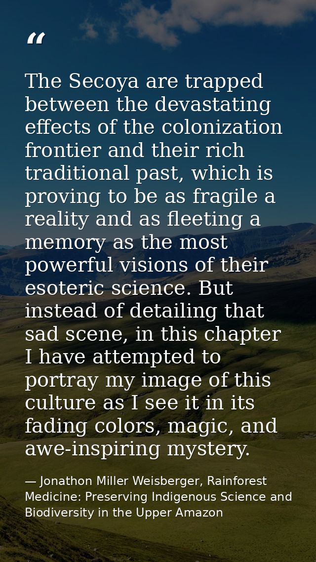 The Secoya are trapped between the devastating effects of the colonization frontier and their rich traditional past, whi — Jonathon Miller Weisberger, Rainforest Medicine: Preserving Indigenous Science and Biodiversity in the Upper Amazon