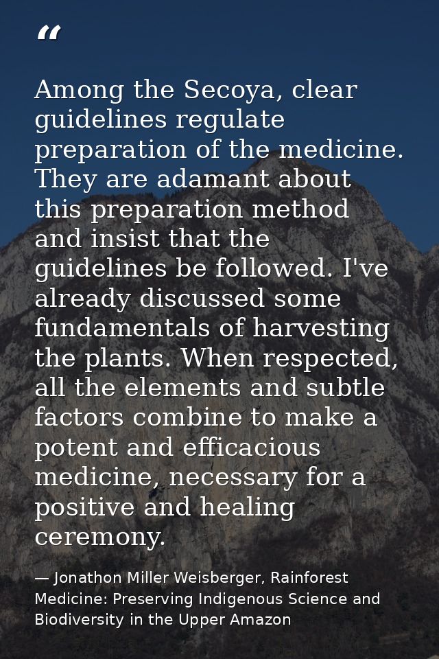 Among the Secoya, clear guidelines regulate preparation of the medicine. They are adamant about this preparation method  — Jonathon Miller Weisberger, Rainforest Medicine: Preserving Indigenous Science and Biodiversity in the Upper Amazon