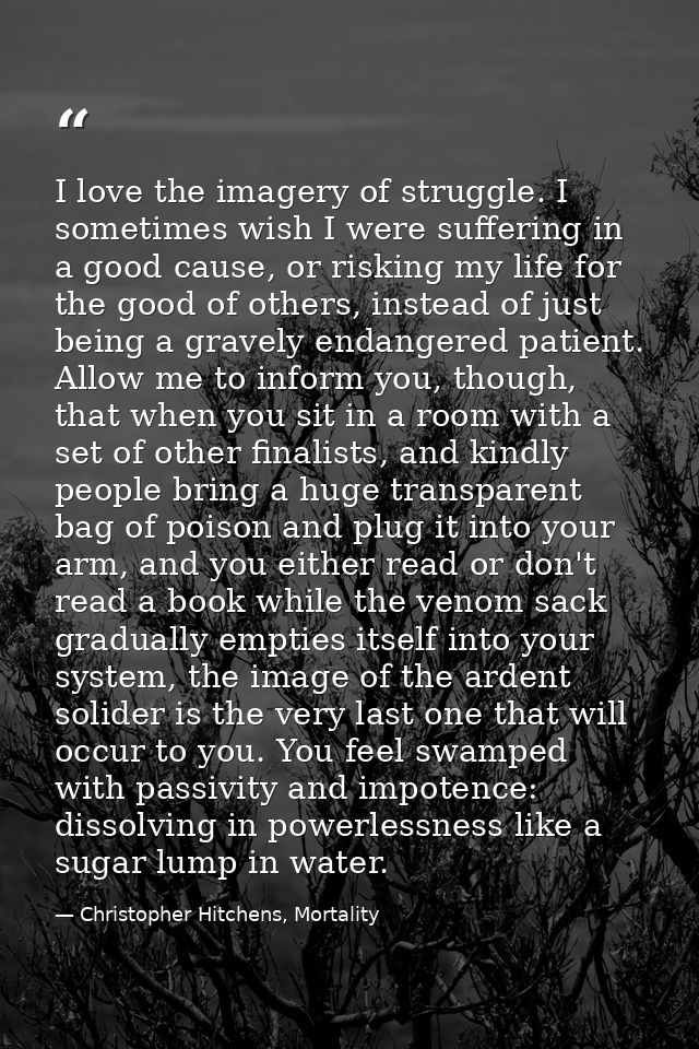 I love the imagery of struggle. I sometimes wish I were suffering in a good cause, or risking my life for the good of ot — Christopher Hitchens, Mortality