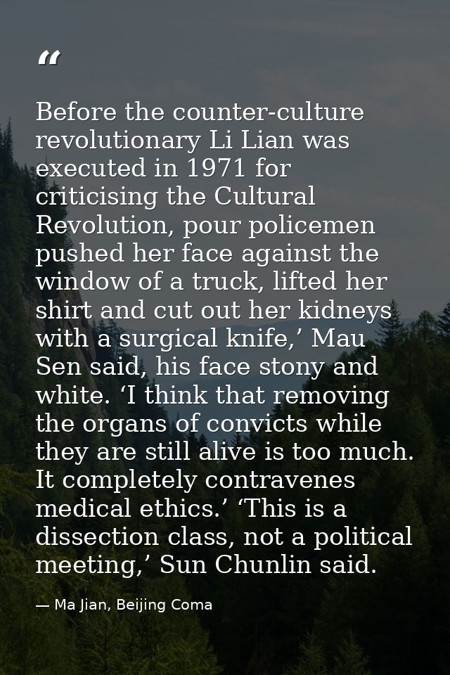 Before the counter-culture revolutionary Li Lian was executed in 1971 for criticising the Cultural Revolution, pour poli — Ma Jian, Beijing Coma