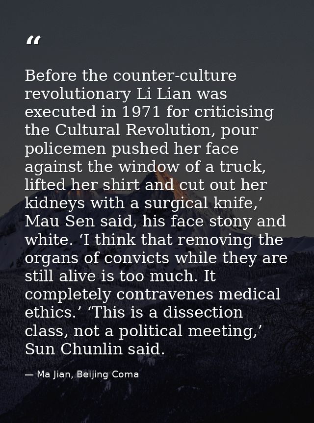 Before the counter-culture revolutionary Li Lian was executed in 1971 for criticising the Cultural Revolution, pour poli — Ma Jian, Beijing Coma