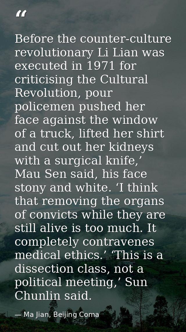 Before the counter-culture revolutionary Li Lian was executed in 1971 for criticising the Cultural Revolution, pour poli — Ma Jian, Beijing Coma