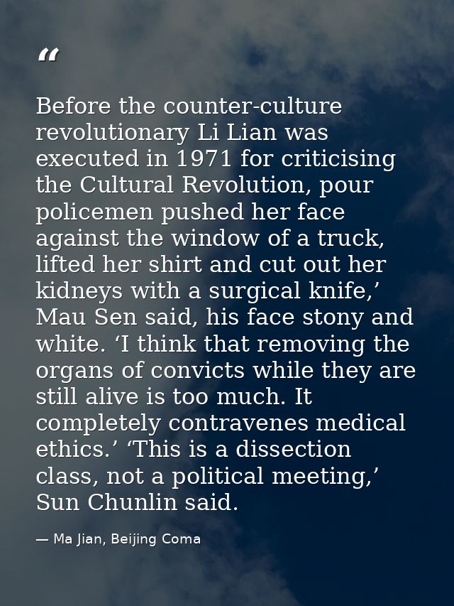 Before the counter-culture revolutionary Li Lian was executed in 1971 for criticising the Cultural Revolution, pour poli — Ma Jian, Beijing Coma