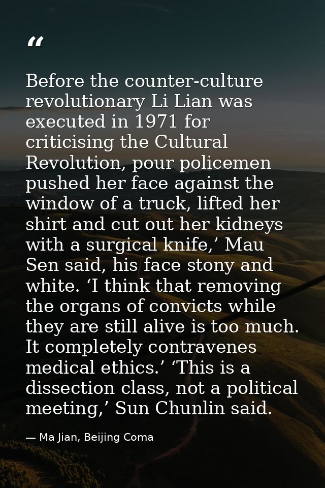 Before the counter-culture revolutionary Li Lian was executed in 1971 for criticising the Cultural Revolution, pour poli — Ma Jian, Beijing Coma