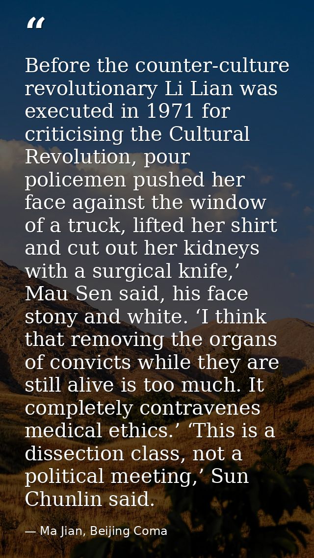 Before the counter-culture revolutionary Li Lian was executed in 1971 for criticising the Cultural Revolution, pour poli — Ma Jian, Beijing Coma