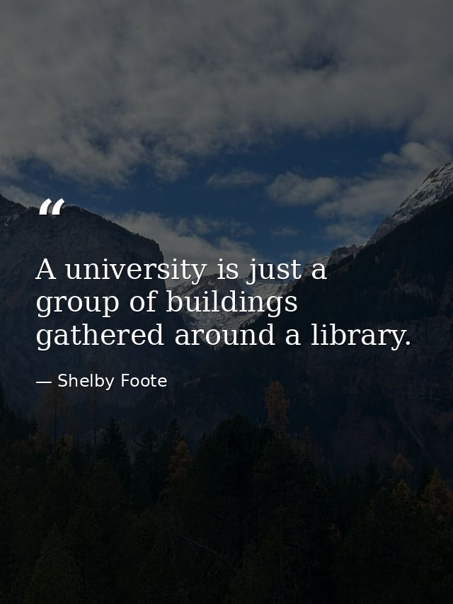 A university is just a group of buildings gathered around a library. — Shelby Foote