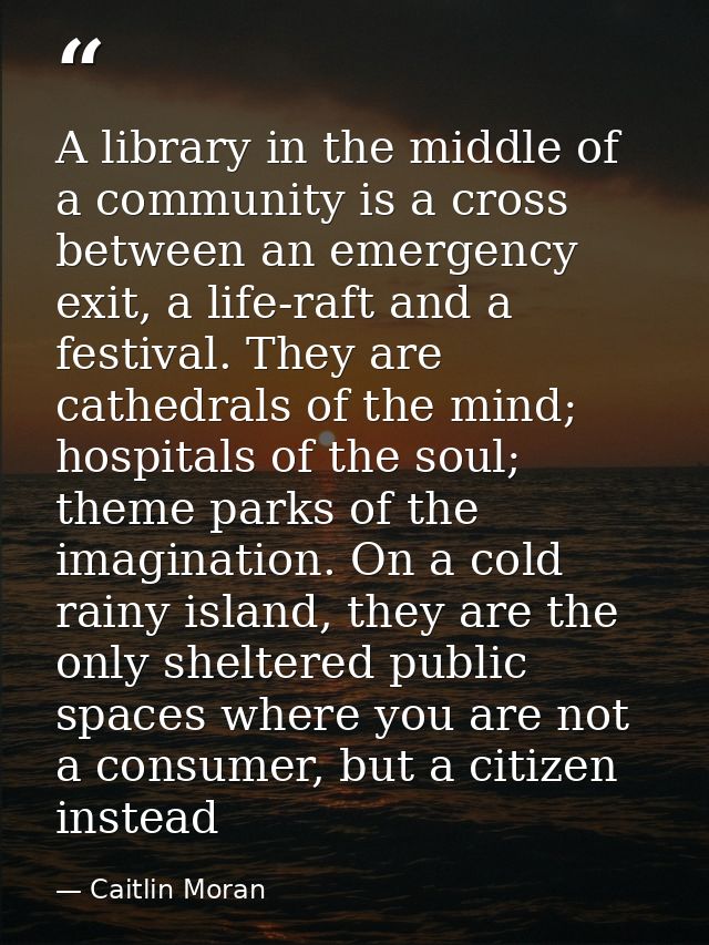A library in the middle of a community is a cross between an emergency exit, a life-raft and a festival. They are cathed — Caitlin Moran