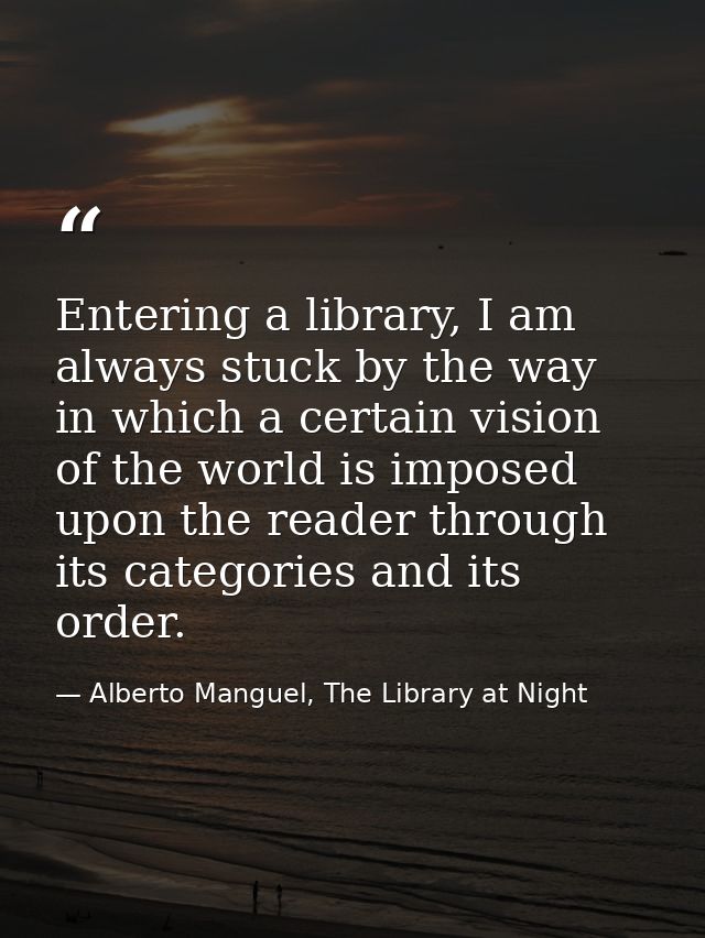 Entering a library, I am always stuck by the way in which a certain vision of the world is imposed upon the reader throu — Alberto Manguel, The Library at Night