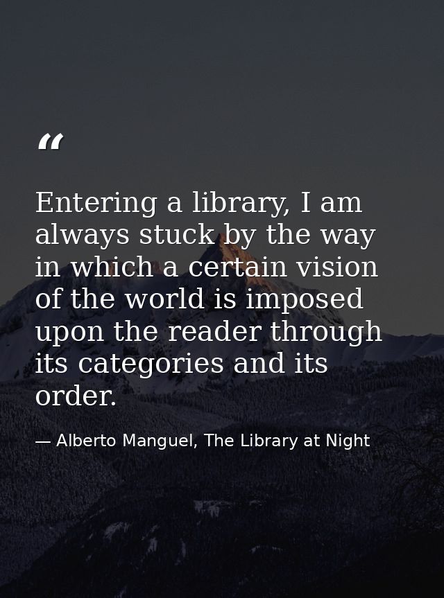 Entering a library, I am always stuck by the way in which a certain vision of the world is imposed upon the reader throu — Alberto Manguel, The Library at Night