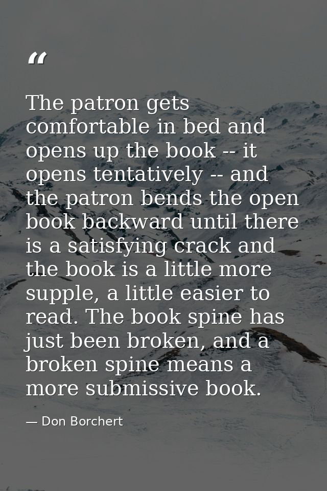 The patron gets comfortable in bed and opens up the book -- it opens tentatively -- and the patron bends the open book b — Don Borchert