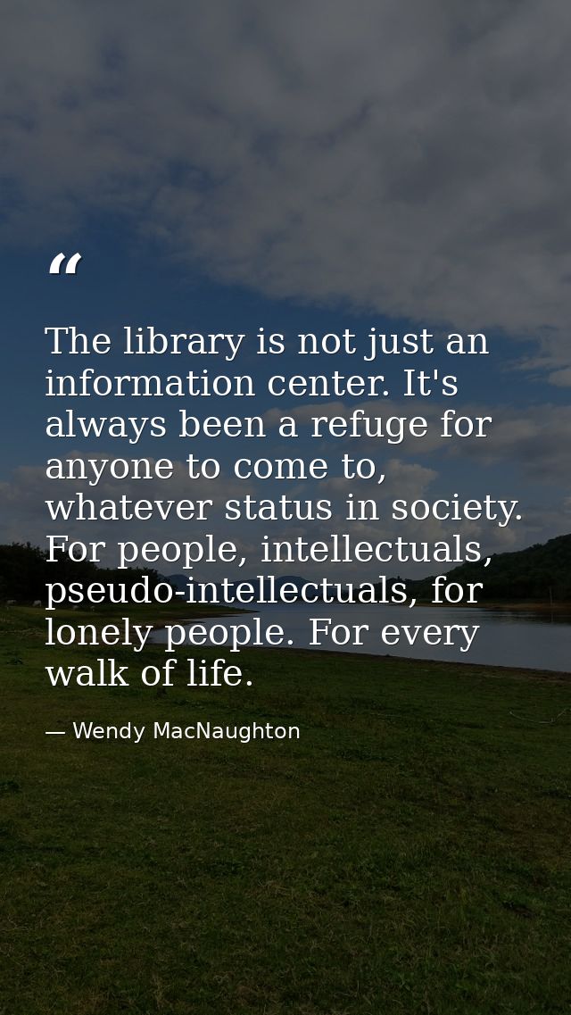 The library is not just an information center. It's always been a refuge for anyone to come to, whatever status in socie — Wendy MacNaughton