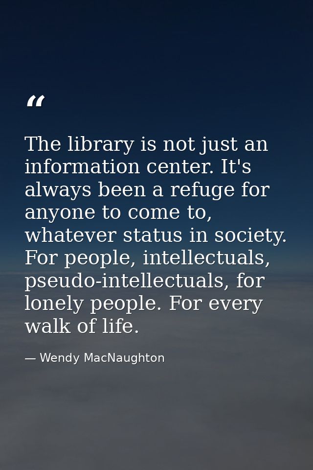The library is not just an information center. It's always been a refuge for anyone to come to, whatever status in socie — Wendy MacNaughton