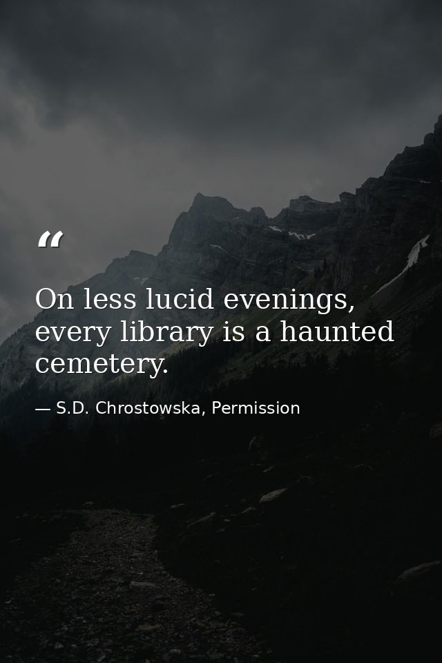 On less lucid evenings, every library is a haunted cemetery. — S.D. Chrostowska, Permission