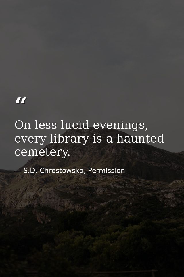 On less lucid evenings, every library is a haunted cemetery. — S.D. Chrostowska, Permission