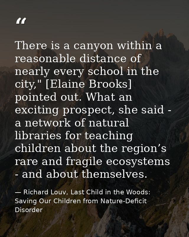 There is a canyon within a reasonable distance of nearly every school in the city," [Elaine Brooks] pointed out. What an — Richard Louv, Last Child in the Woods: Saving Our Children from Nature-Deficit Disorder