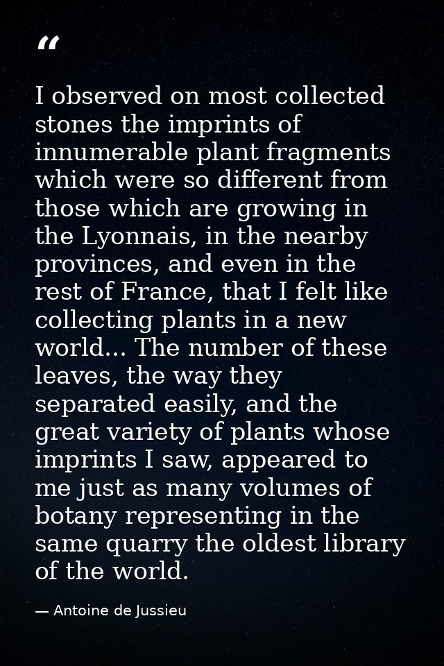 I observed on most collected stones the imprints of innumerable plant fragments which were so different from those which — Antoine de Jussieu