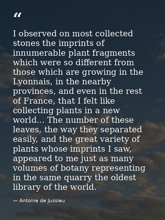I observed on most collected stones the imprints of innumerable plant fragments which were so different from those which — Antoine de Jussieu