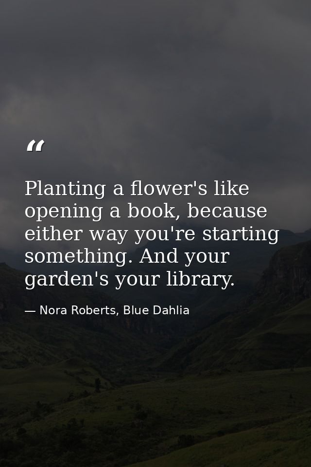 Planting a flower's like opening a book, because either way you're starting something. And your garden's your library. — Nora Roberts, Blue Dahlia