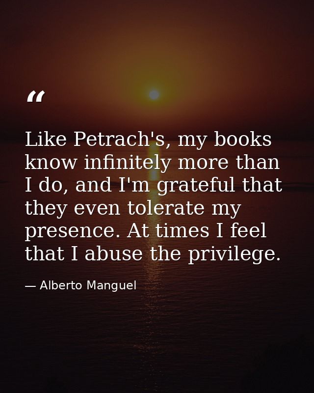 Like Petrach's, my books know infinitely more than I do, and I'm grateful that they even tolerate my presence. At times  — Alberto Manguel