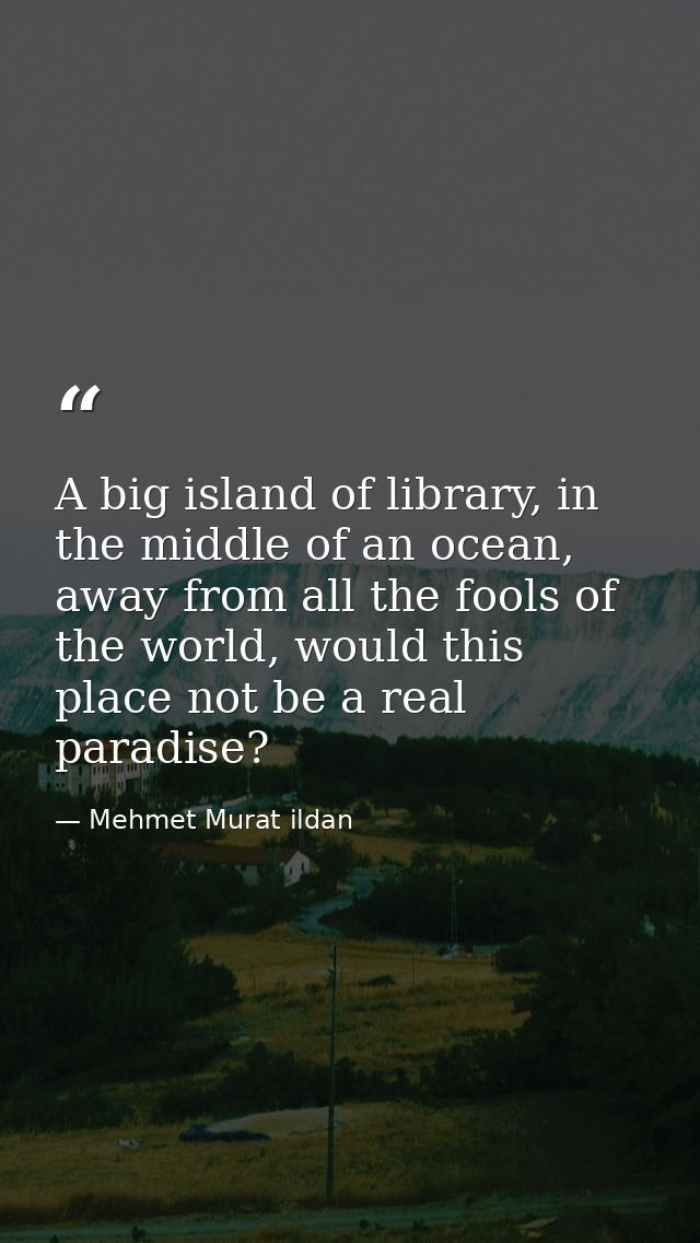 A big island of library, in the middle of an ocean, away from all the fools of the world, would this place not be a real — Mehmet Murat ildan