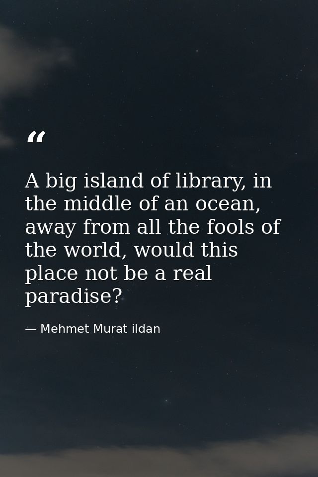 A big island of library, in the middle of an ocean, away from all the fools of the world, would this place not be a real — Mehmet Murat ildan