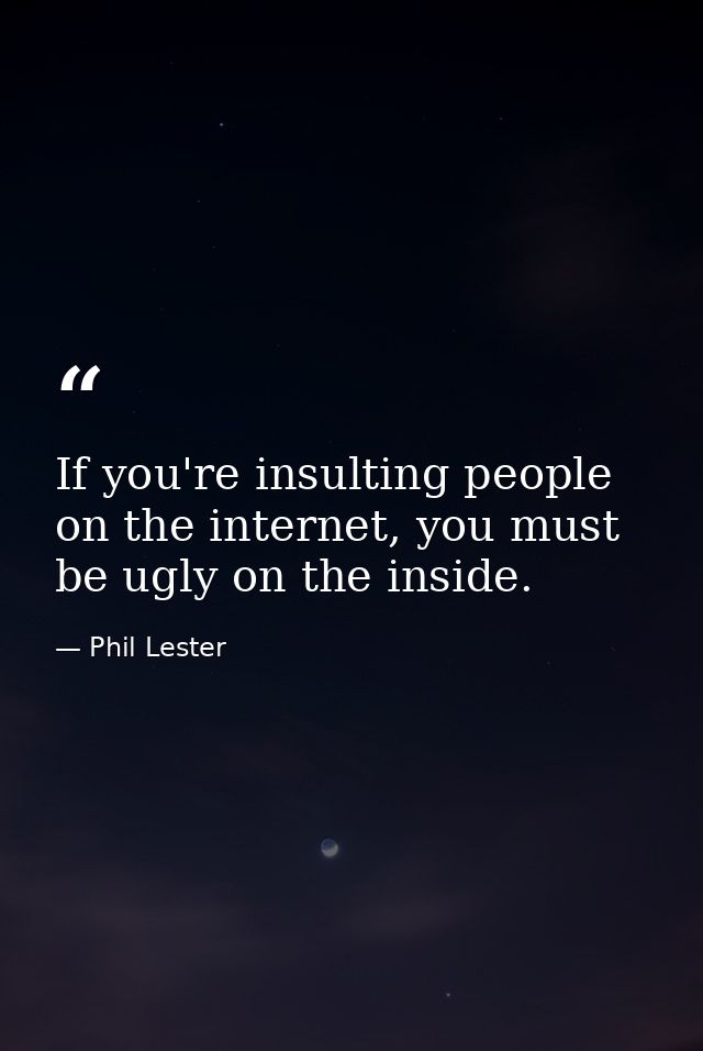If you're insulting people on the internet, you must be ugly on the inside. — Phil Lester