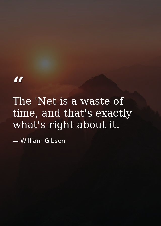 The 'Net is a waste of time, and that's exactly what's right about it. — William Gibson