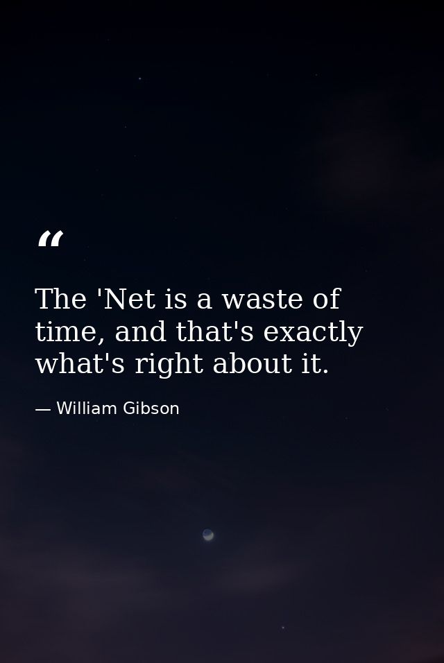 The 'Net is a waste of time, and that's exactly what's right about it. — William Gibson