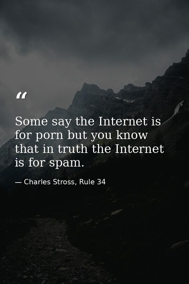 Some say the Internet is for porn but you know that in truth the Internet is for spam. — Charles Stross, Rule 34