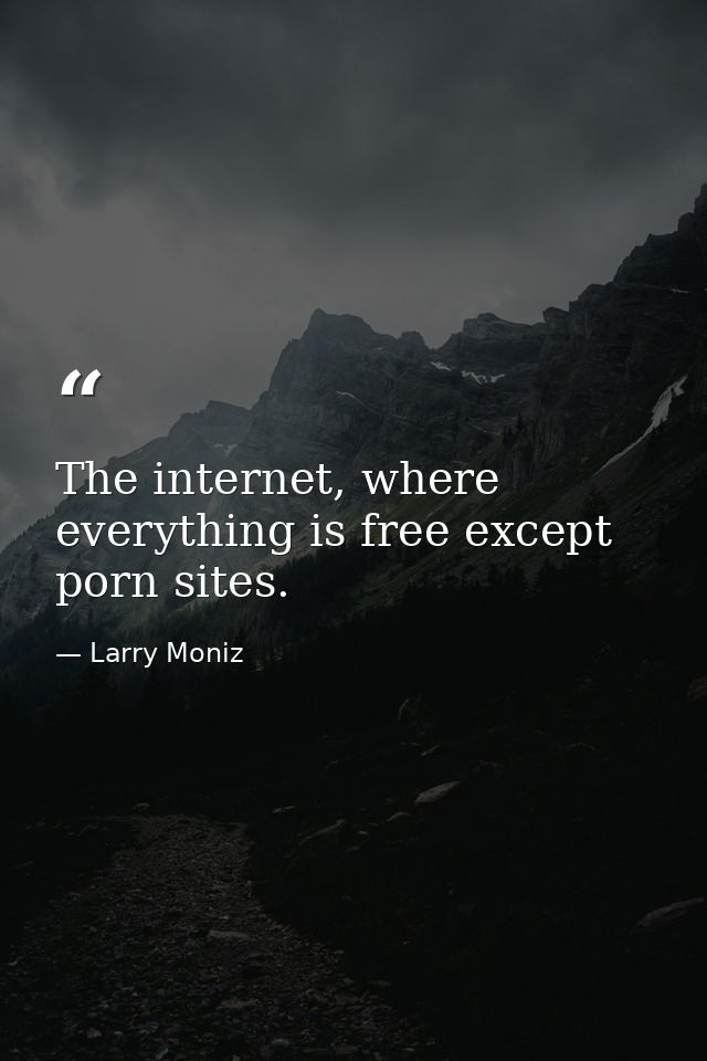 The internet, where everything is free except porn sites. — Larry Moniz