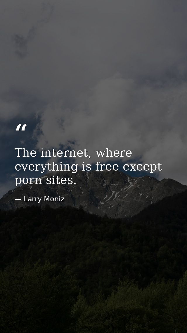 The internet, where everything is free except porn sites. — Larry Moniz