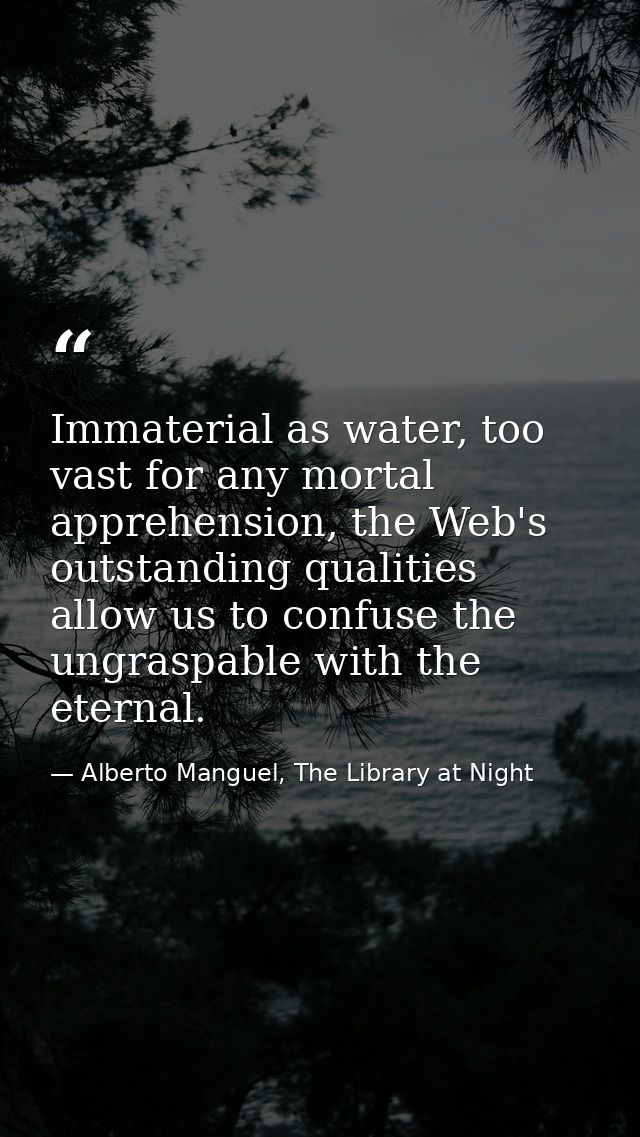 Immaterial as water, too vast for any mortal apprehension, the Web's outstanding qualities allow us to confuse the ungra — Alberto Manguel, The Library at Night