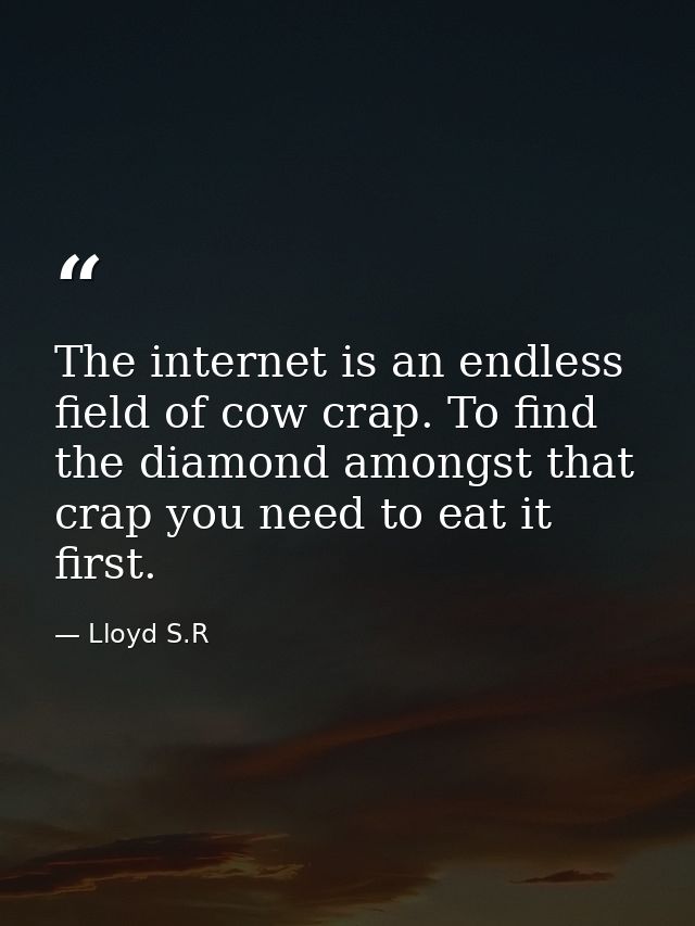 The internet is an endless field of cow crap. To find the diamond amongst that crap you need to eat it first. — Lloyd S.R