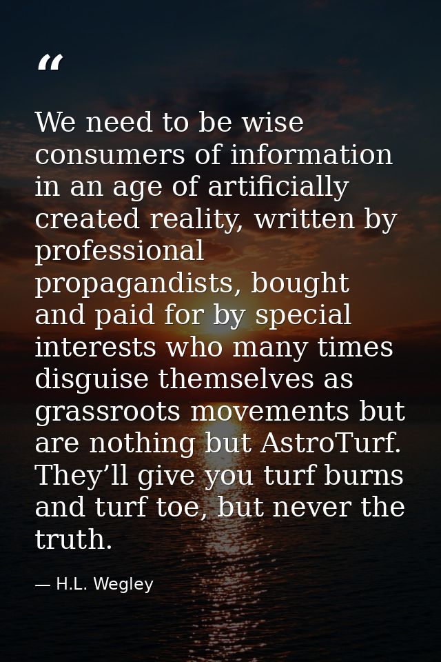 We need to be wise consumers of information in an age of artificially created reality, written by professional propagand — H.L. Wegley