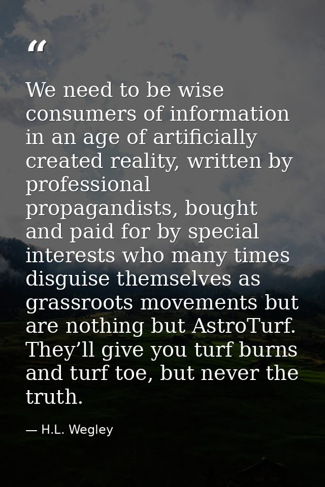 We need to be wise consumers of information in an age of artificially created reality, written by professional propagand — H.L. Wegley