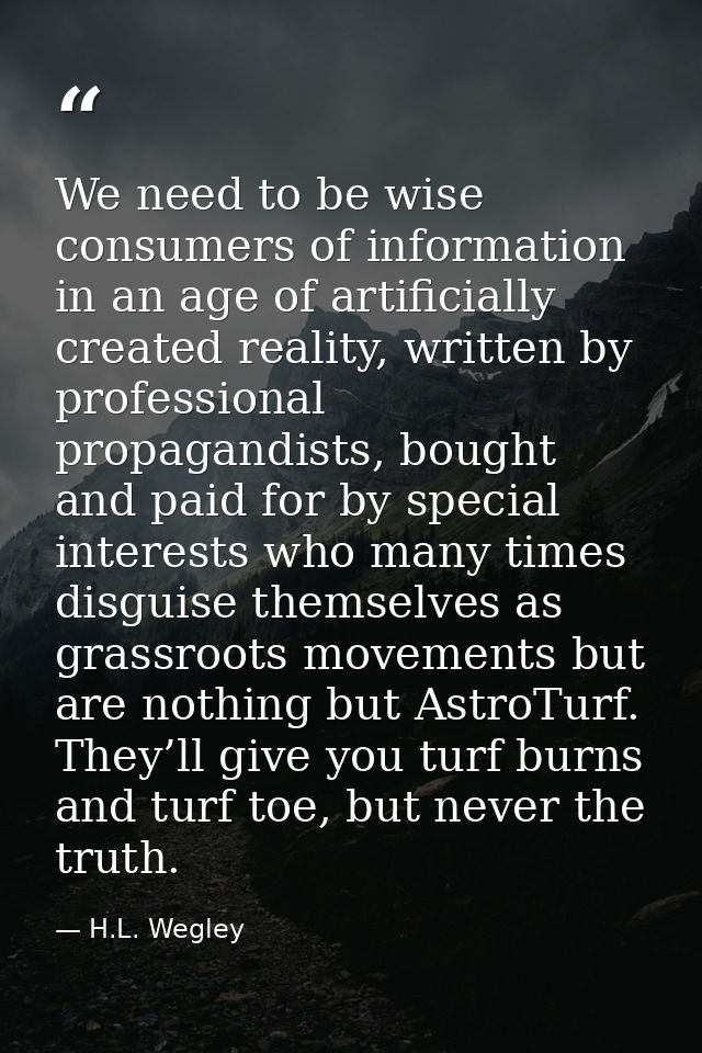 We need to be wise consumers of information in an age of artificially created reality, written by professional propagand — H.L. Wegley