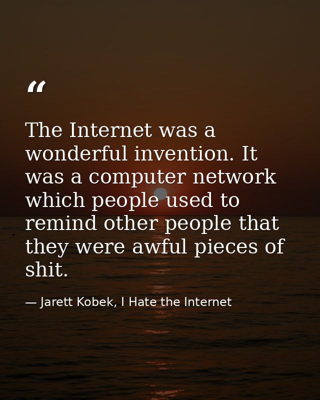 The Internet was a wonderful invention. It was a computer network which people used to remind other people that they wer — Jarett Kobek, I Hate the Internet