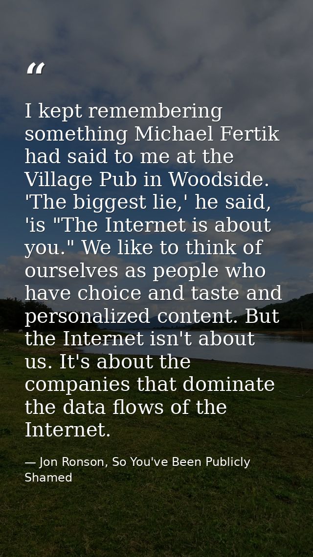 I kept remembering something Michael Fertik had said to me at the Village Pub in Woodside. 'The biggest lie,' he said, ' — Jon Ronson, So You've Been Publicly Shamed