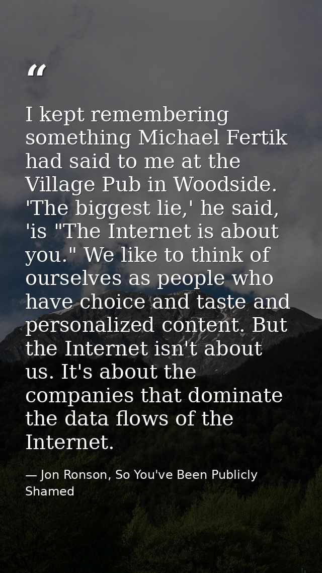 I kept remembering something Michael Fertik had said to me at the Village Pub in Woodside. 'The biggest lie,' he said, ' — Jon Ronson, So You've Been Publicly Shamed