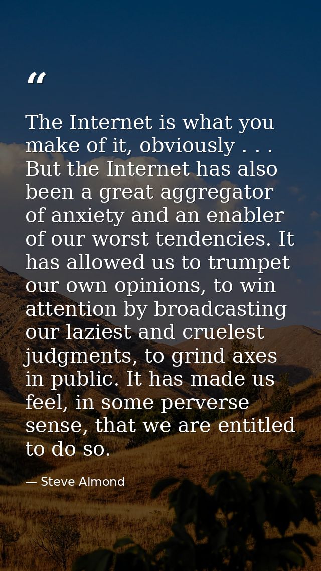The Internet is what you make of it, obviously . . . But the Internet has also been a great aggregator of anxiety and an — Steve Almond