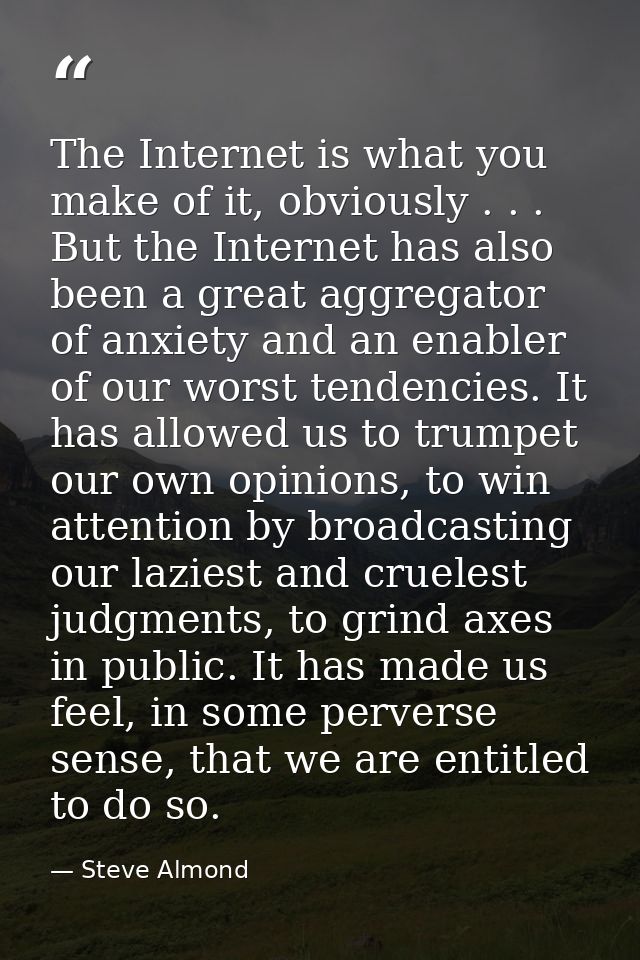 The Internet is what you make of it, obviously . . . But the Internet has also been a great aggregator of anxiety and an — Steve Almond