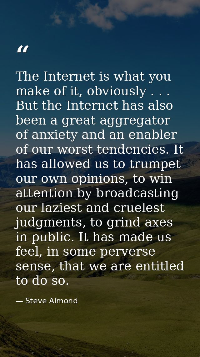 The Internet is what you make of it, obviously . . . But the Internet has also been a great aggregator of anxiety and an — Steve Almond
