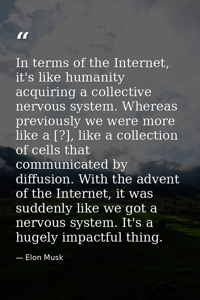 In terms of the Internet, it's like humanity acquiring a collective nervous system. Whereas previously we were more like — Elon Musk