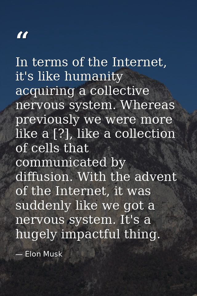 In terms of the Internet, it's like humanity acquiring a collective nervous system. Whereas previously we were more like — Elon Musk