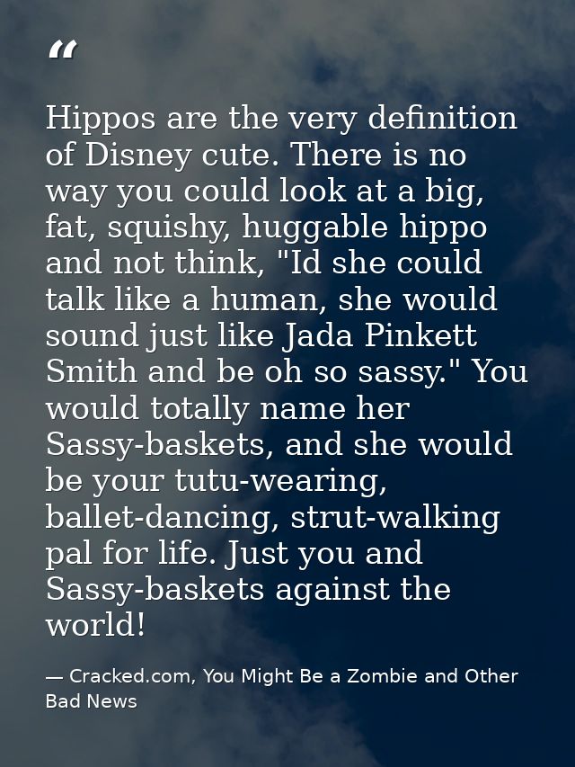 Hippos are the very definition of Disney cute. There is no way you could look at a big, fat, squishy, huggable hippo and — Cracked.com, You Might Be a Zombie and Other Bad News